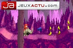 Donkey Kong Country