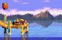 Donkey Kong Country 3