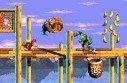 Donkey Kong Country 3