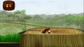 DK : Jungle Beat Wii a la banane