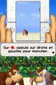 Donkey Kong : Jungle Climber