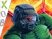 Doom : un come-back attendu ?