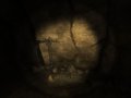 Dracula 3 : plus d'images
