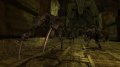 Dragon Age Origins : 3 images sinon rien