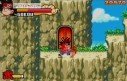 Dragon Ball Advance Adventure : images maison