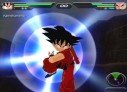 Dragon Ball Z : Budokai Tenkaichi