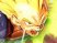 DBZ BT : 7 vidéos maison