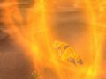 TGS > DBZ Sparking Neo