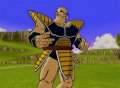 Dragon Ball Z : Infinite World