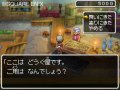 Dragon Quest IX : nouveaux visuels