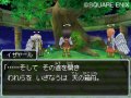 Dragon Quest IX : plus d'images