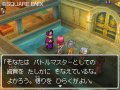 Dragon Quest IX trie ses images