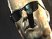 Duke Nukem Forever : un artwork