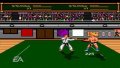 EA Replay pr�sente Budokan sur PSP