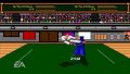 EA Replay pr�sente Budokan sur PSP