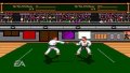 EA Replay pr�sente Budokan sur PSP