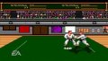 EA Replay pr�sente Budokan sur PSP