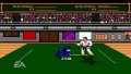 EA Replay pr�sente Budokan sur PSP