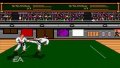 EA Replay pr�sente Budokan sur PSP
