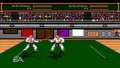 EA Replay pr�sente Budokan sur PSP