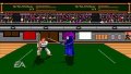 EA Replay pr�sente Budokan sur PSP