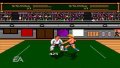 EA Replay pr�sente Budokan sur PSP