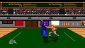 EA Replay pr�sente Budokan sur PSP