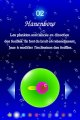 Electroplankton