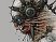 ET Quake Wars en retard