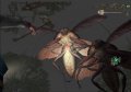 Des images de Escape From Bug Island