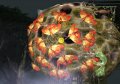Des images de Escape From Bug Island