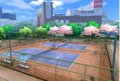 Everybody's Tennis sur la toile