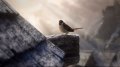 Fable II