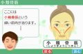 Un site pour Face Training