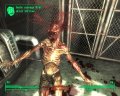 Fallout 3