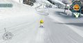 Family Ski