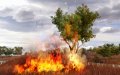 GC 07 > Far Cry 2