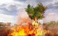 GC 07 > Far Cry 2