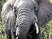 Far Cry 2 dans la savane africaine