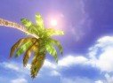 Far Cry Instincts : artworks & vid�os