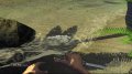 56 images maison de Far Cry Instincts : Predator