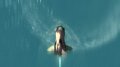 Nouveaux screens de Fatal Inertia