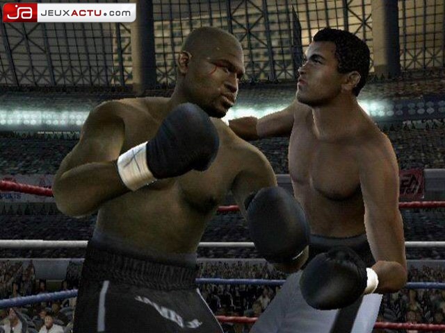 Fight Night 2004