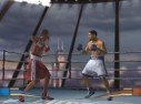 Fight Night Round 2
