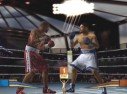 Fight Night Round 2