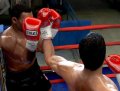 Premi�res images de Fight Night Round 4