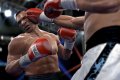 Premi�res images de Fight Night Round 4