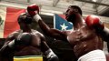 Fight Night Round 4 s'�nerve en images