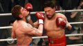 Fight Night Round 4 cogne en images