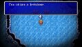 Final Fantasy Anniversary Edition imag�